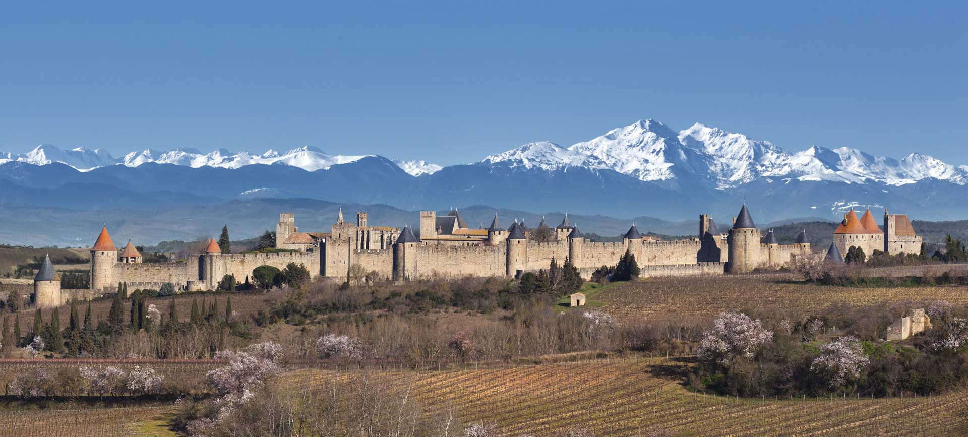 Cité médiévale du Caracassonne en Midi-Pyrénées