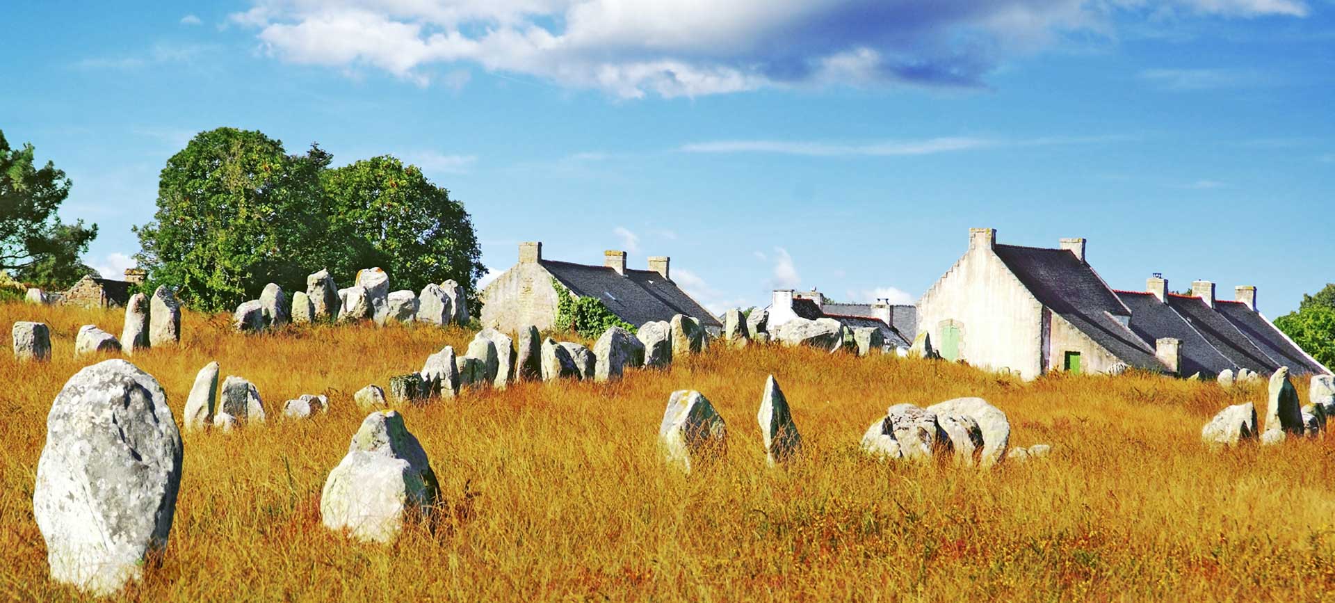 Aligement des menhirs de Carnac dans le sub du Morbihan en Bretagne