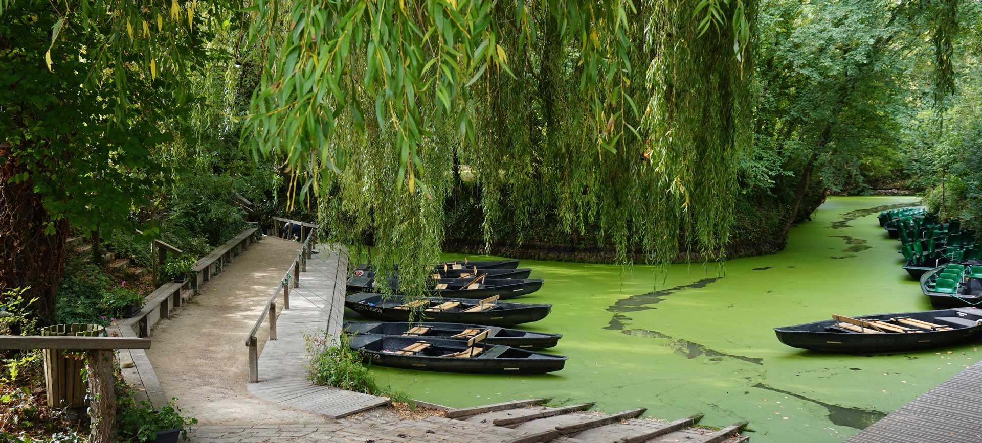 Parc naturel régional du Marais poitevin dans le Poitou