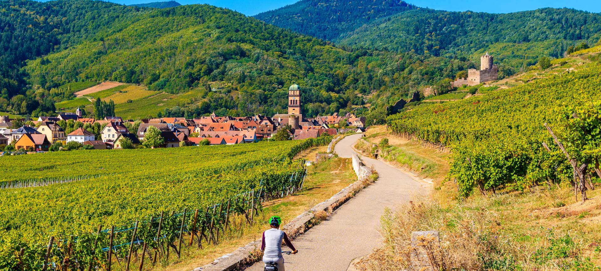 Vignobles et village de Kayserberg en Alsace