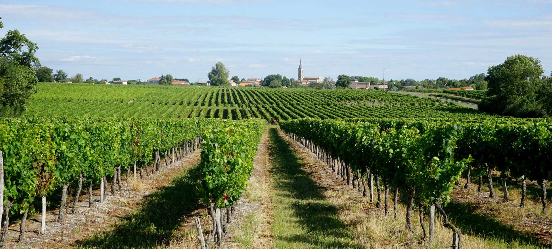 Vignobles de Bordeaux