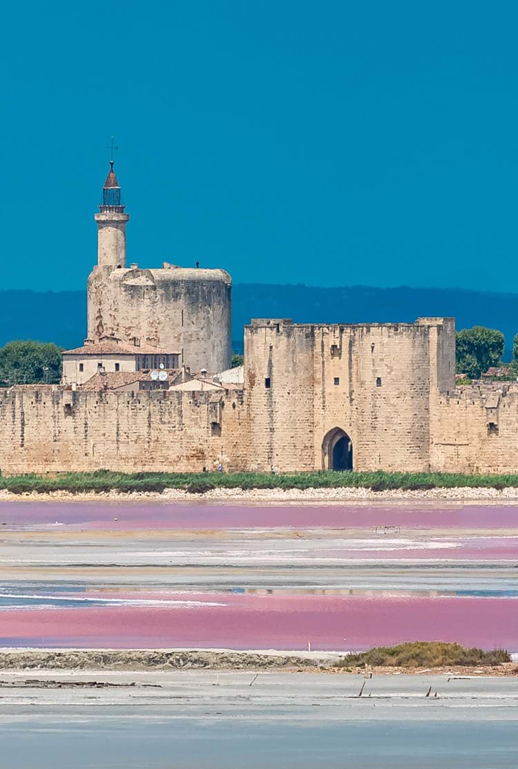 Salins de Aigues-Mortes en Petit Camargue dans la région Occitanie