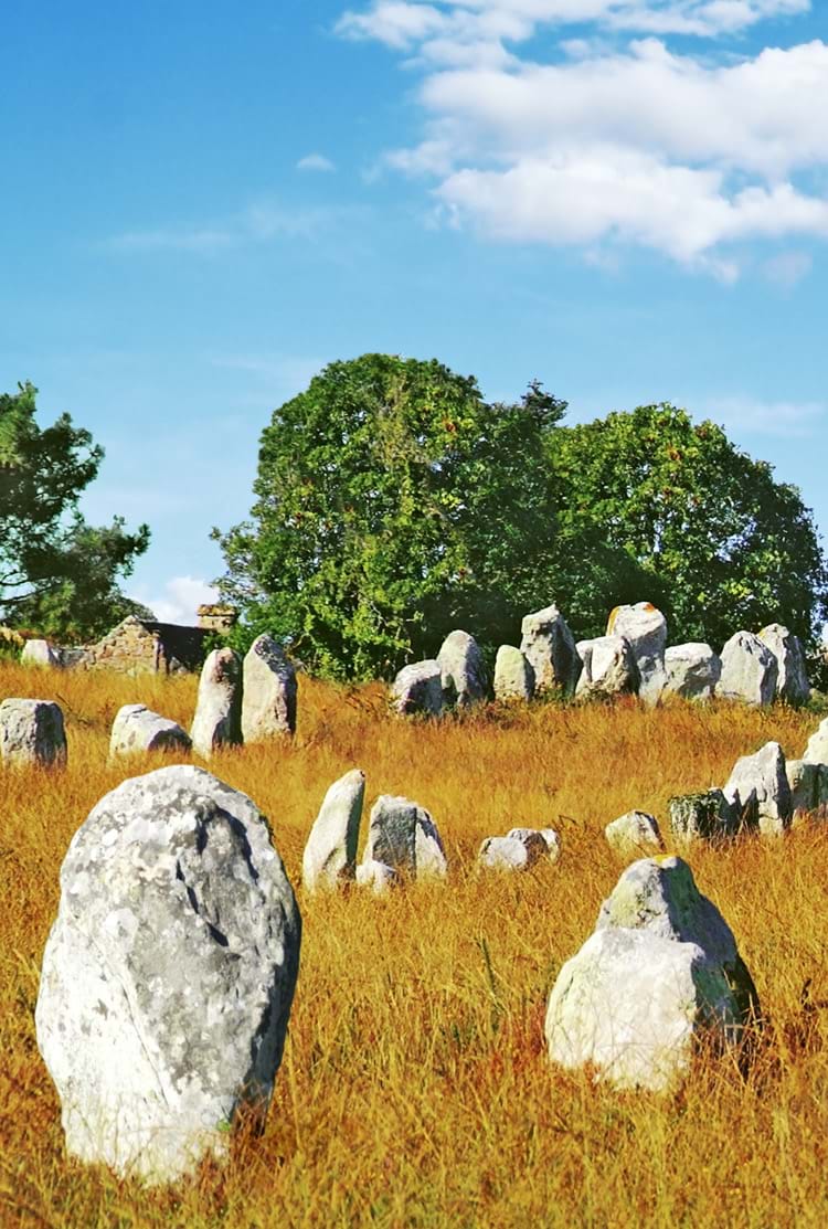 Aligement des menhirs de Carnac dans le sub du Morbihan en Bretagne