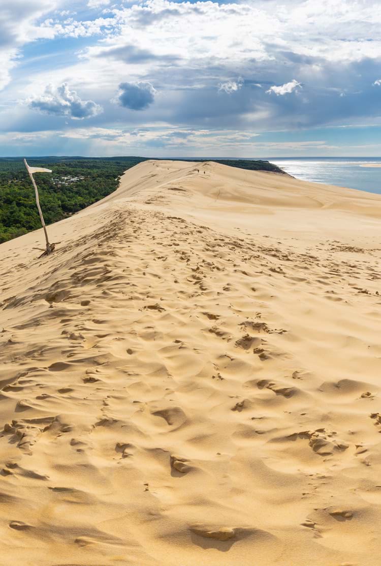 Paysage dune du Pyla à Arcachon