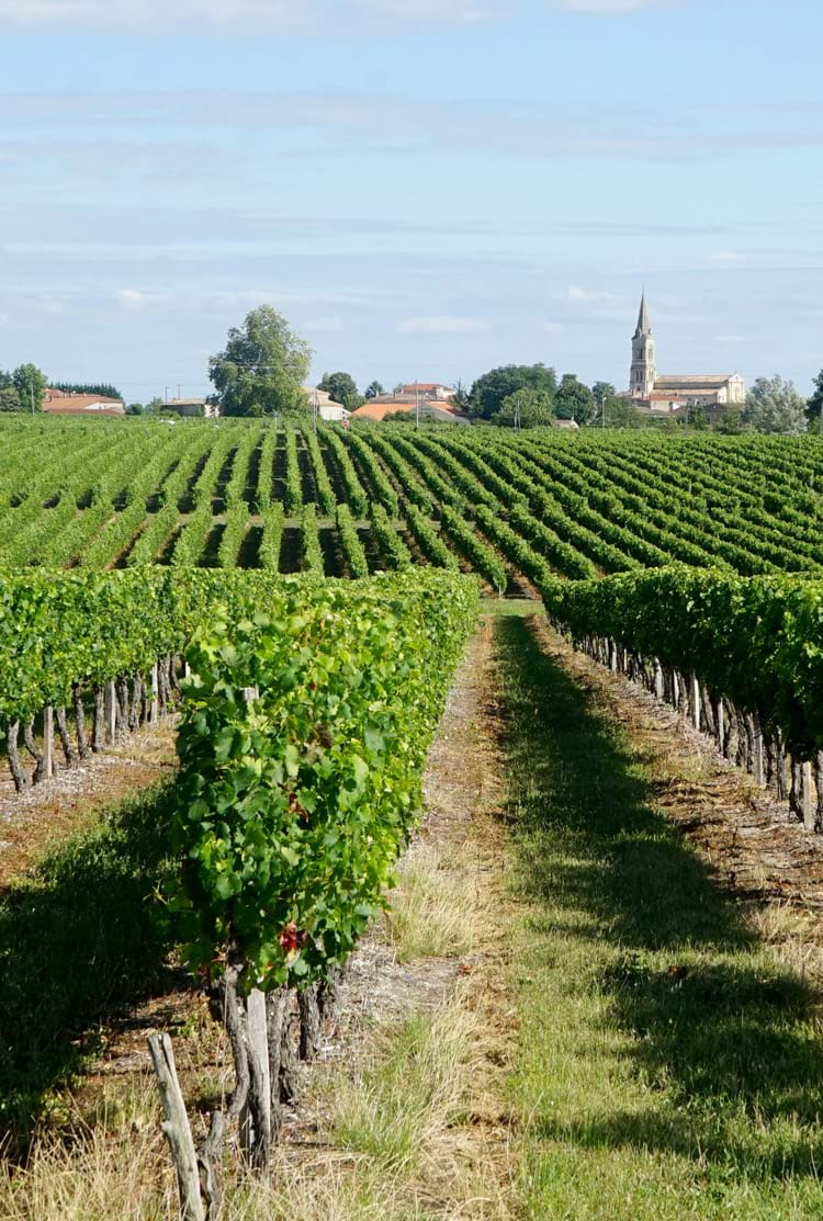 Vignobles de Bordeaux