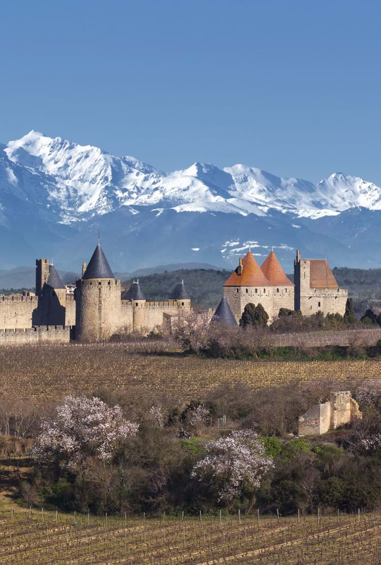 Cité médiévale du Caracassonne en Midi-Pyrénées