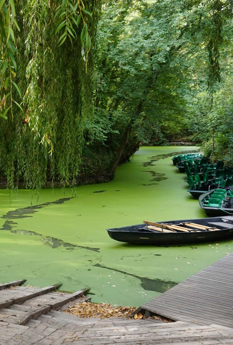 Parc naturel régional du Marais poitevin dans le Poitou