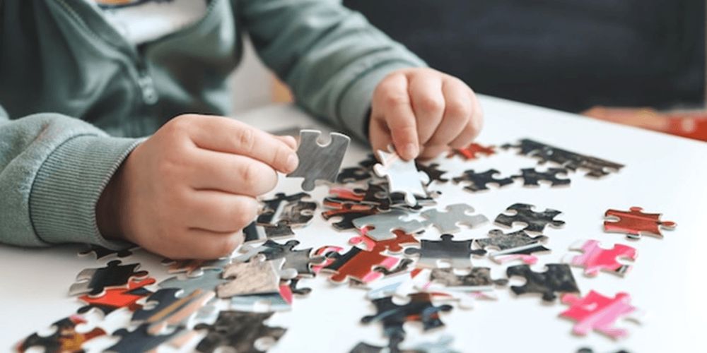 Zoom produit Puzzle : Le selfie des animaux sauvages