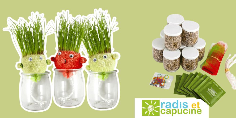 Zoom produit : Coffret « Je fabrique ma tête à pousser » de Radis et Capucine