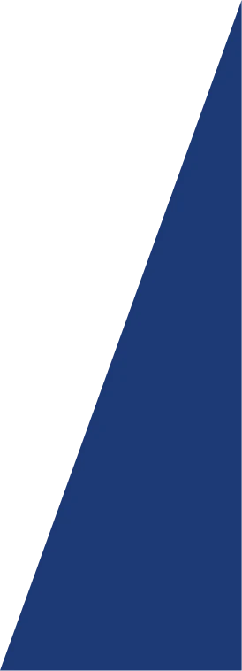 triangle bleu illustration