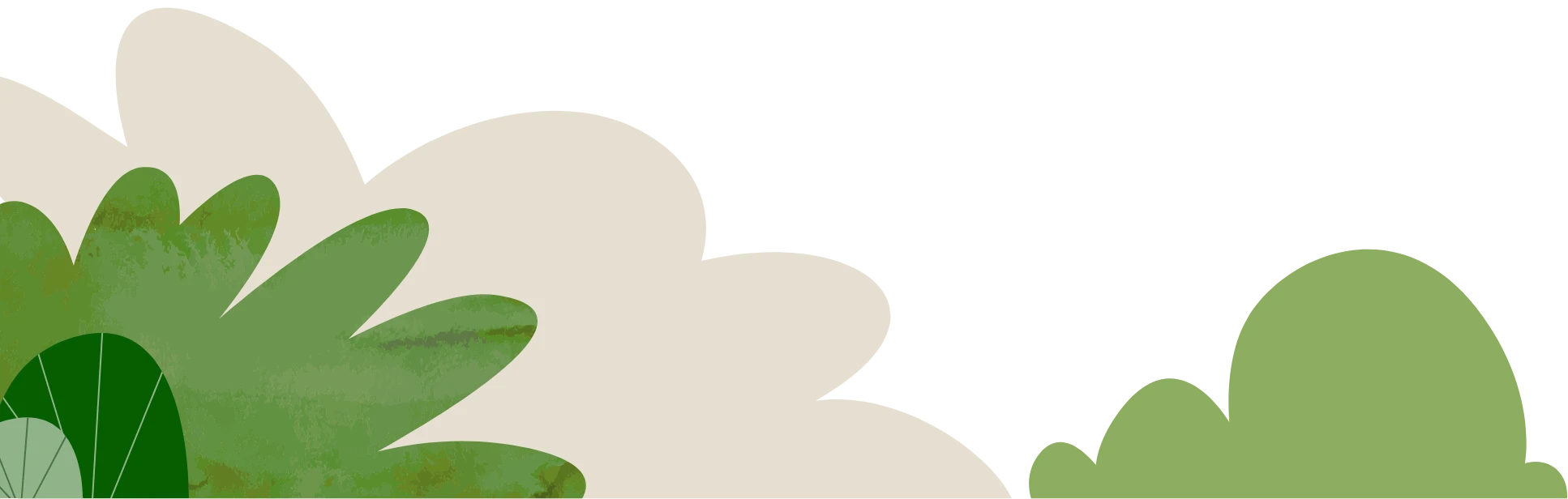 décors avec des feuilles