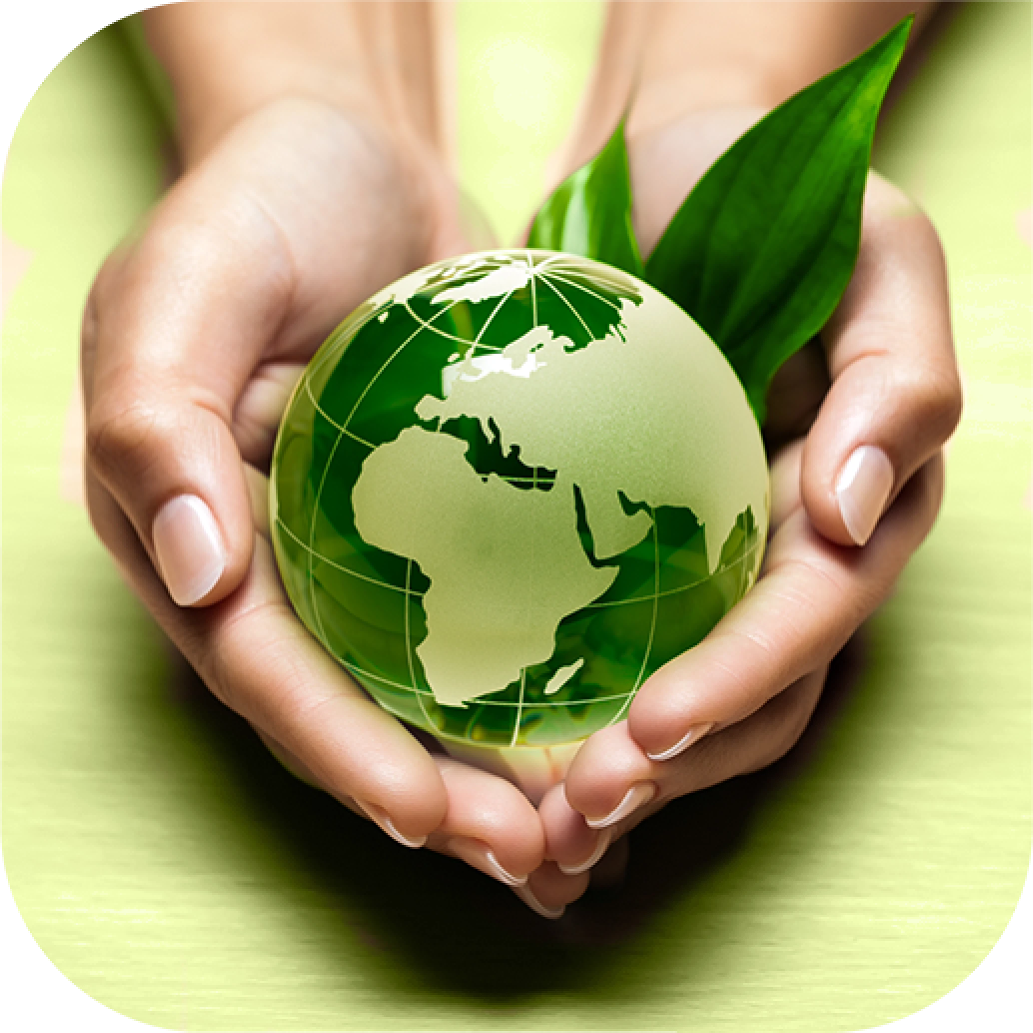 image montrant des pratiques environementales