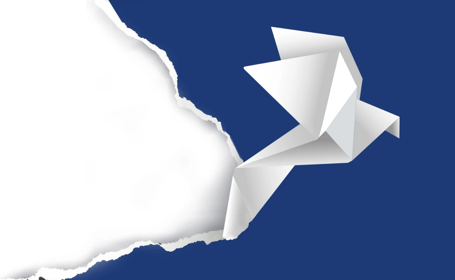 oiseau origami 