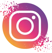 web icone instagram