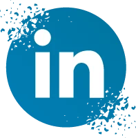 logo Linkedin Roses des Sables
