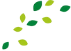 image de feuilles d'arbre qui volent'