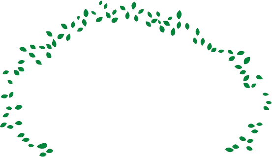 image de feuilles d'arbres vert foncé